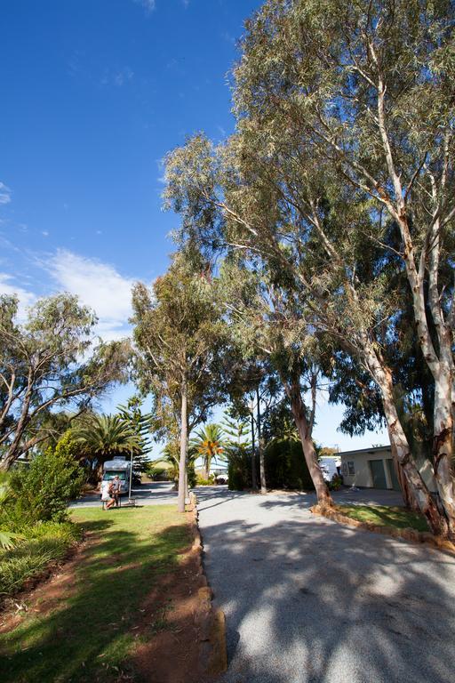 Modra'S Apartments Tumby Bay Екстериор снимка