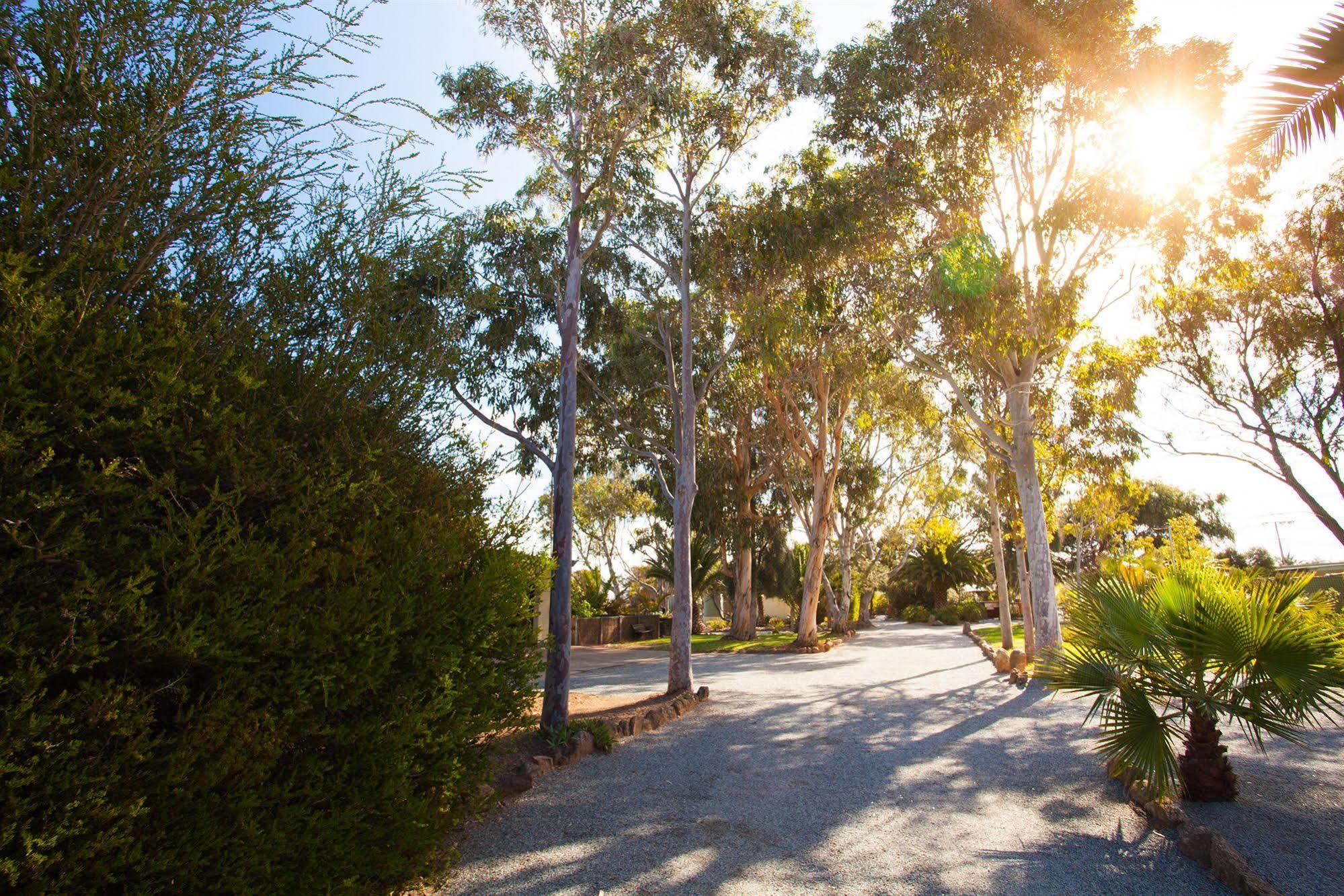 Modra'S Apartments Tumby Bay Екстериор снимка
