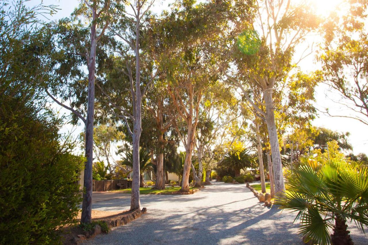 Modra'S Apartments Tumby Bay Екстериор снимка